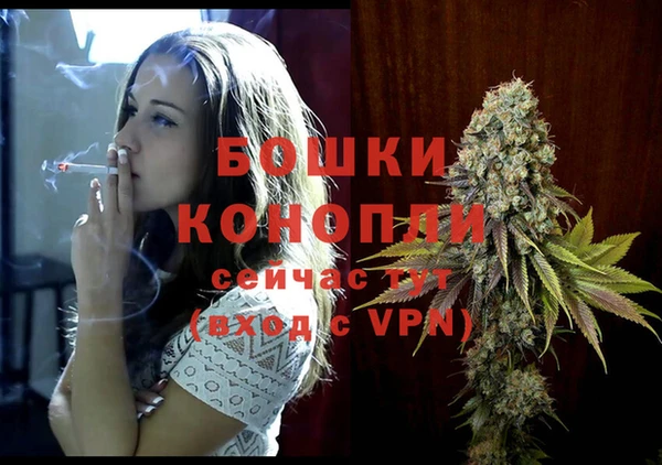 крисы Майский