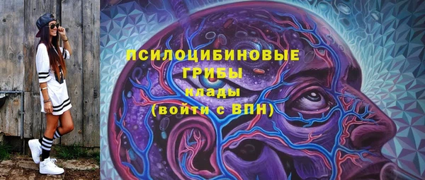 тгк Магадан