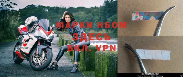 крисы Майский