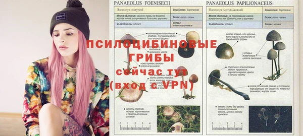 MDMA Premium VHQ Лихославль