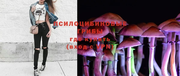 крисы Майский